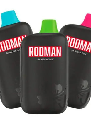 RODMAN 9,100 HITS